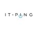 IT-PING